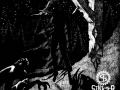 born-in-strange-shadow born-in-strange-shadow
